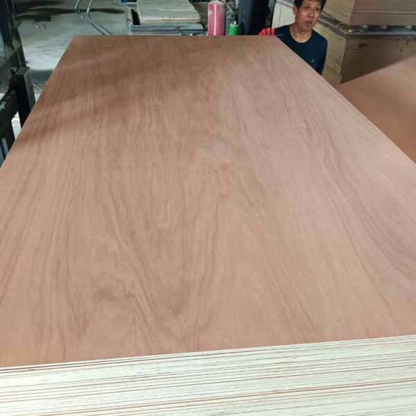 Bingtangor Plywood