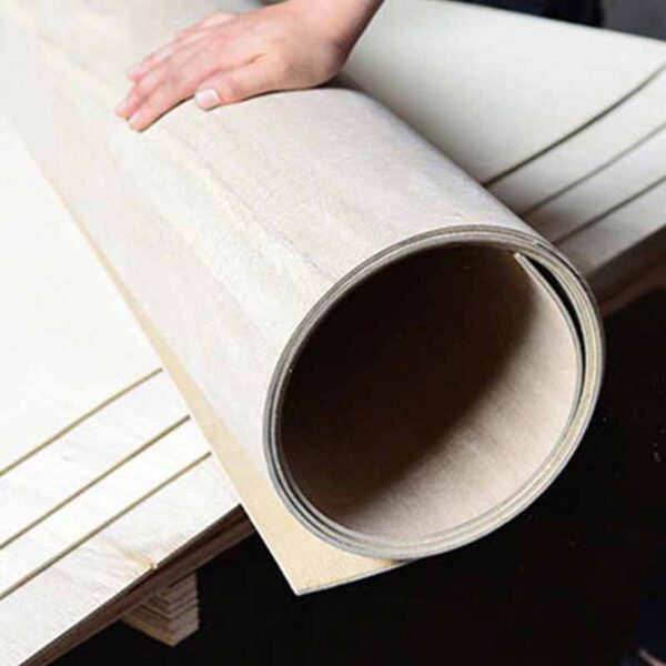 Bending Plywood - Image 2