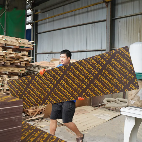 Film Faced Plywood CHANTAPLEX - Image 3