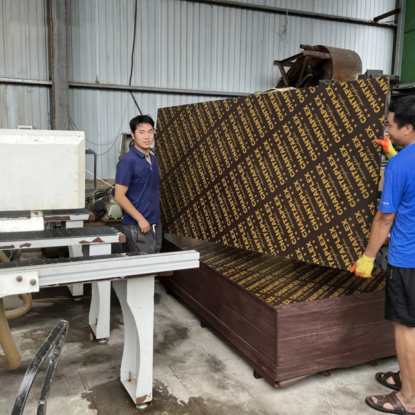 Film Faced Plywood CHANTAPLEX - Image 5