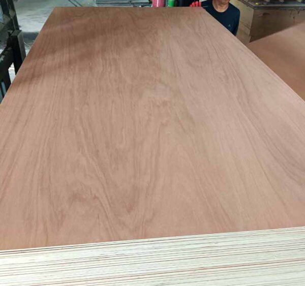 Pencil Cedar Plywood - Image 3