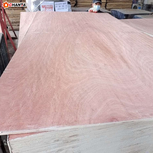 Bingtangor Plywood - Image 2